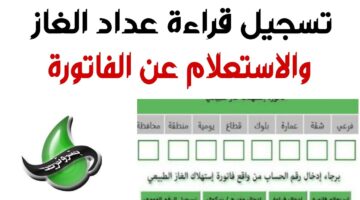 تسجيل قراءة العداد شركة بتروتريد من خلال الرابط petrotrade.com.eg