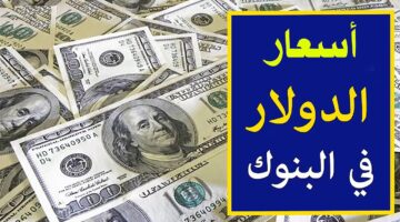 سعر الدولار اليوم مقابل الجنيه المصري الجمعة 3 يناير 2025  الآن للشراء والبيع في كافة البنوك