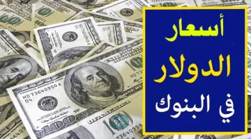 سعر الدولار اليوم الثلاثاء 7/1/2025 بالجنية المصري داخل كافة البنوك المصرية