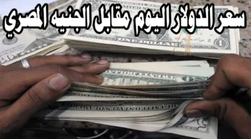 سعر الدولار مقابل الجنيه المصري اليوم الأربعاء 8 يناير 2025 بجميع البنوك الآن