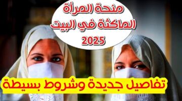 الوكالة الوطنية للتشغيل توضح.. شروط التسجيل في منحة المرأة الماكثة