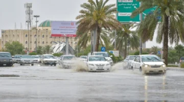 أمطار غزيرة وتساقط ثلوج.. حالة الطقس اليوم الجمعة 10-1-2025 في السعودية – صحيفة الخبر