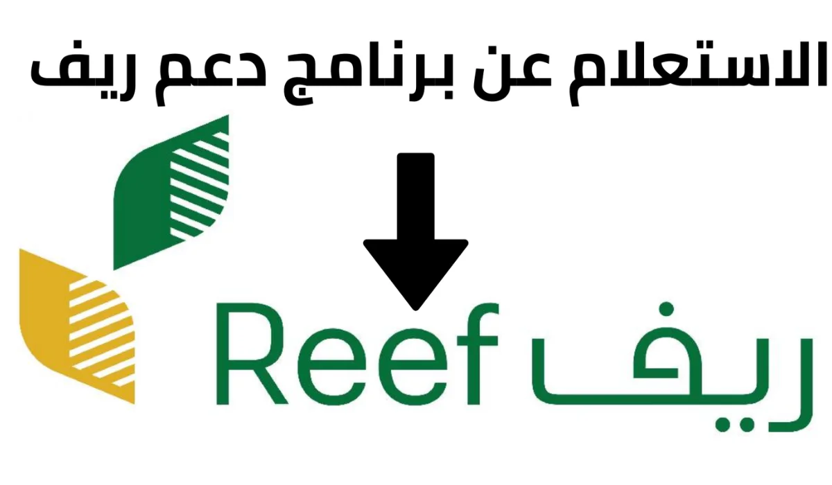 كيفية الاستعلام عن دعم ريف 1446 عبر الرابط الإلكتروني الرسمي reef.gov.sa