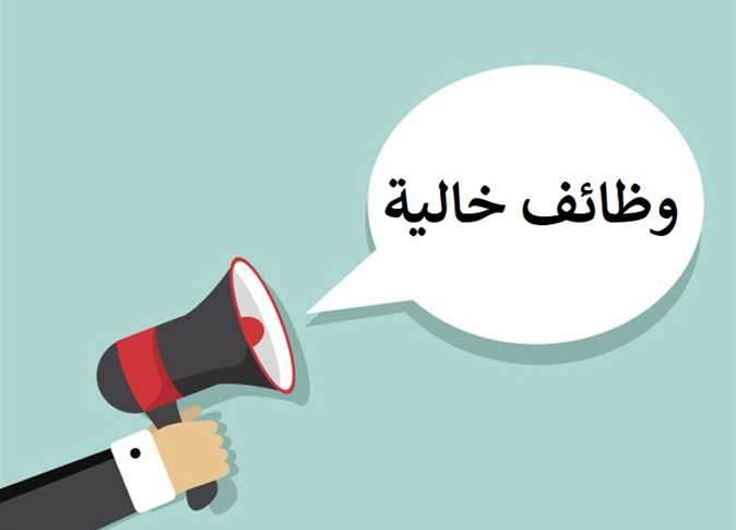 برواتب تصل لـ 7500 جنيه شهريًا.. الشباب والرياضة تعلن عن وظائف جديدة – صحيفة الخبر