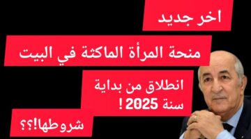 فتح باب التقديم منحة المرأة الماكثة في البيت 2025.. وأهم شروط التسجيل