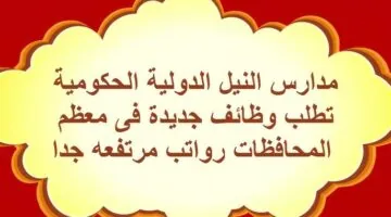 الشروط والأوراق المطلوبة لوظائف مدارس النيل المصرية الدولية