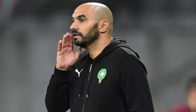 وليد الركراكي يحدد موعد تجمع المنتخب المغربي